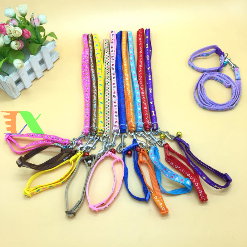 50 Nhóm Hàng Phụ Kiện Thú Cưng Cực Rẻ Trên 1688 – Nhập Giá Tận Xưởng