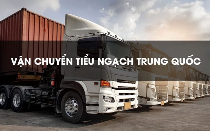 Xuất nhập khẩu Vận chuyển Tiểu ngạch từ Trung Quốc về Việt Nam