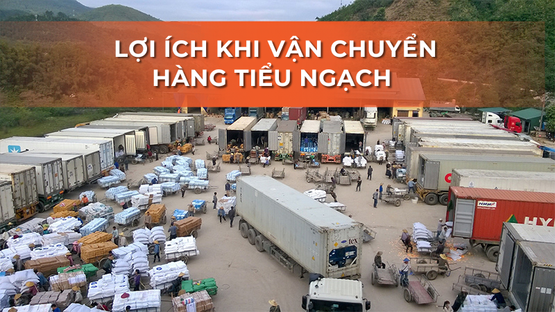 Top 5 đơn vị vận chuyển tiểu ngạch Trung Quốc về Việt Nam uy tín