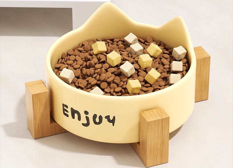 Bật mí 5 phụ kiện cho thú cưng kinh doanh hái ra tiền Bật mí 5 phụ kiện cho thú cưng kinh doanh hái ra tiền